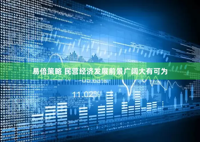 易倍策略 民营经济发展前景广阔大有可为