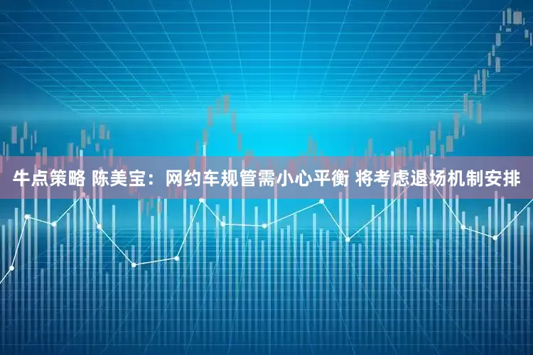 牛点策略 陈美宝：网约车规管需小心平衡 将考虑退场机制安排