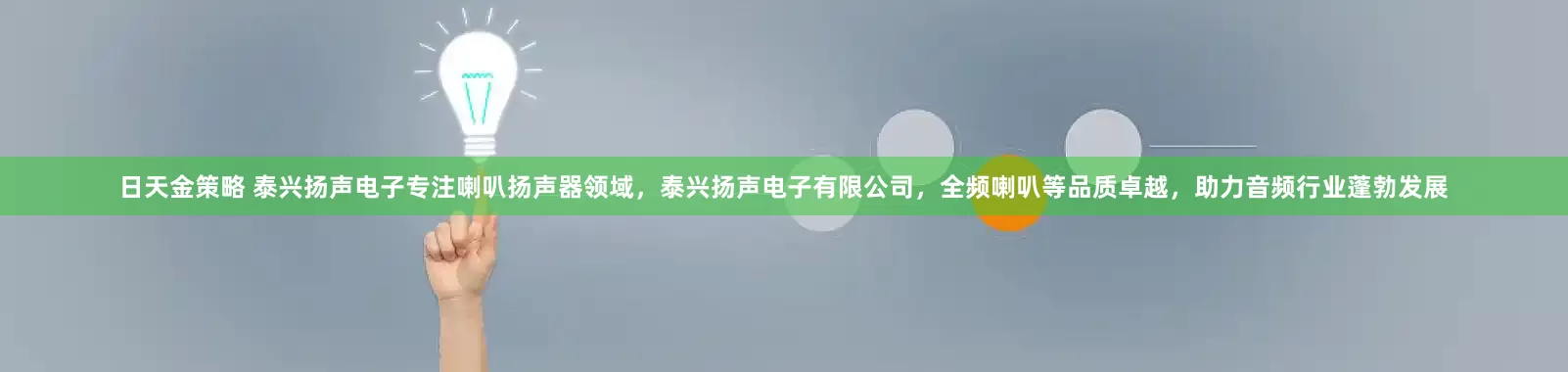 日天金策略 泰兴扬声电子专注喇叭扬声器领域，泰兴扬声电子有限公司，全频喇叭等品质卓越，助力音频行业蓬勃发展